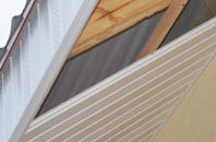 rated Catsgore soffit repair companies